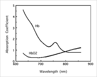 Fig.1 Absorption spectrum of Oxy- and Deoxy hemoglobin