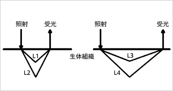 Fig. 5 照射-受光間隔と光の減衰の関係図